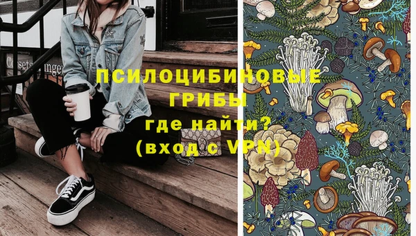 МДПВ Белокуриха
