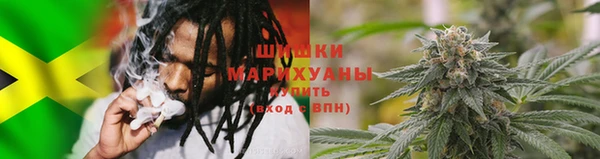 сатива Белоозёрский
