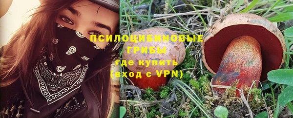 сатива Белоозёрский