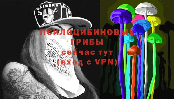 сатива Белоозёрский
