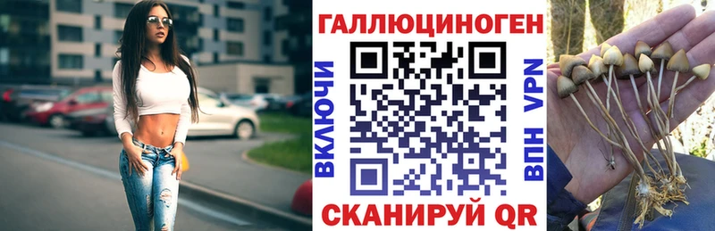 гидра ONION  как найти   Калининец  Галлюциногенные грибы мицелий 